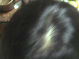 1688head.JPG