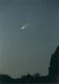 HBcomet-.GIF
